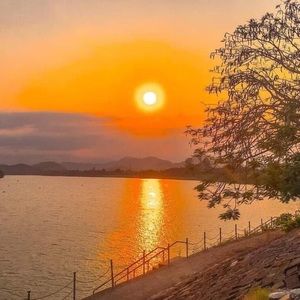 Meet your Posher, Irish